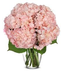 Medium Bouquet