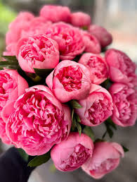 Medium Bouquet